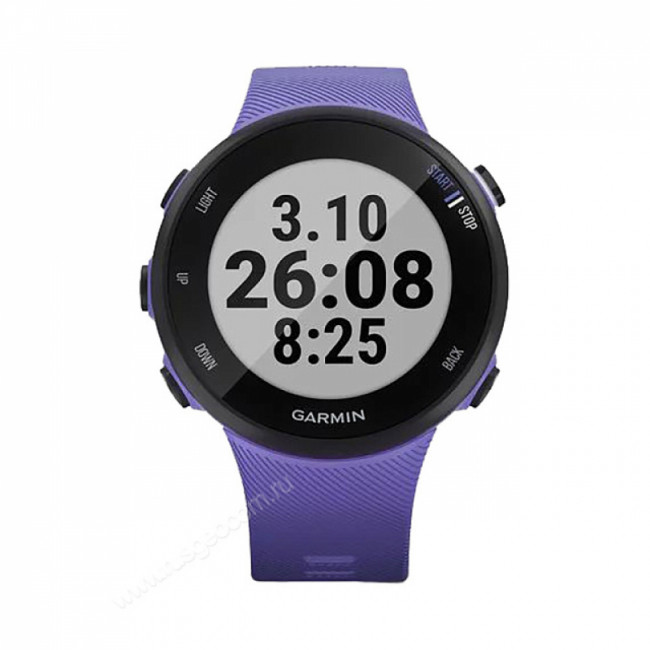Часы Garmin Forerunner 45S ирис Часы Garmin Forerunner 45S ирис